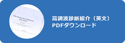 高調波診断紹介（英文） PDFダウンロード